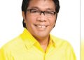 Ketua DPD I Partai Golkar Sultra (Foto: IST)
